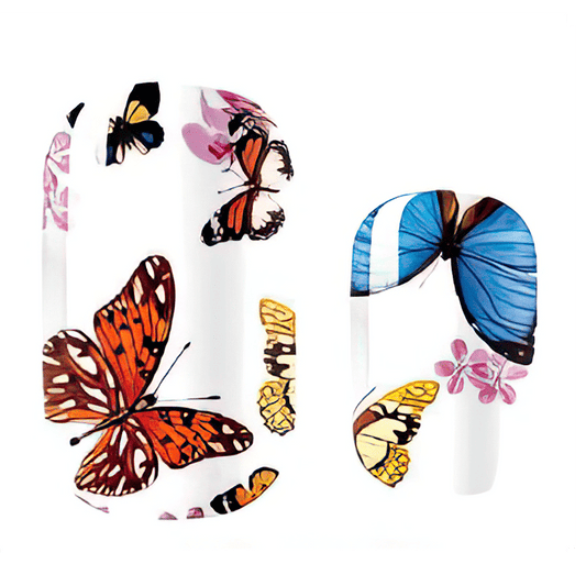 Colourful butterfly nail art wraps with blue orange pink butterflies on white background