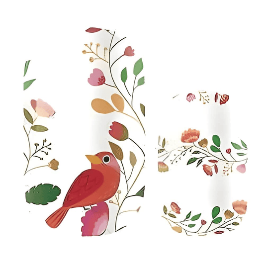 Watercolour botanical nail wraps featuring red robin bird with coral flowers on white background