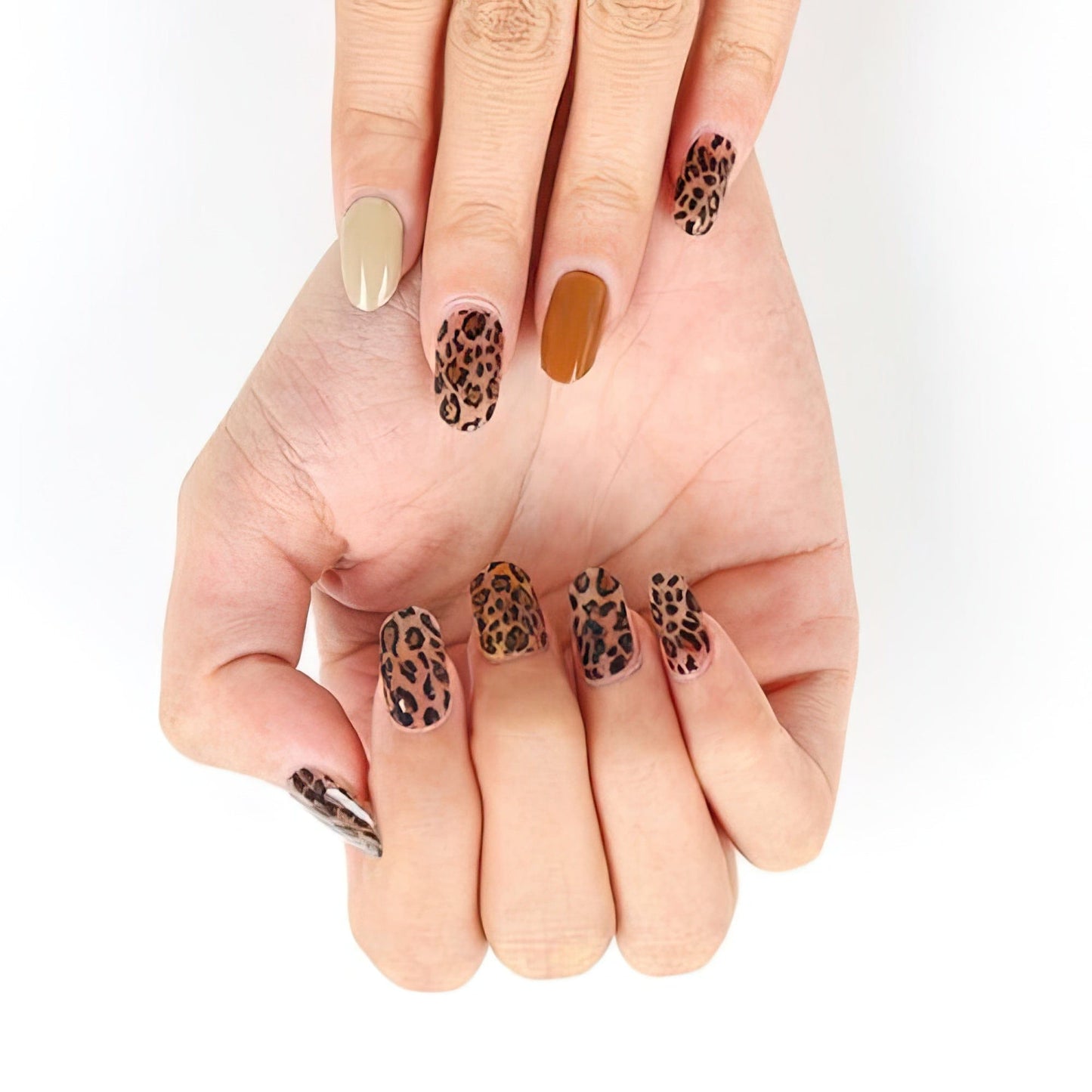 Holy Grail Nail Semi-Cured Gels Hear Me Roar - Gels