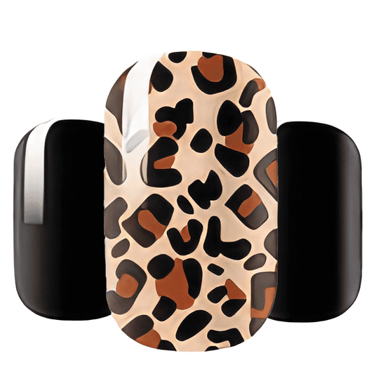 Leo Leopard Noir - Wide Fit Wrap (20 Piece)