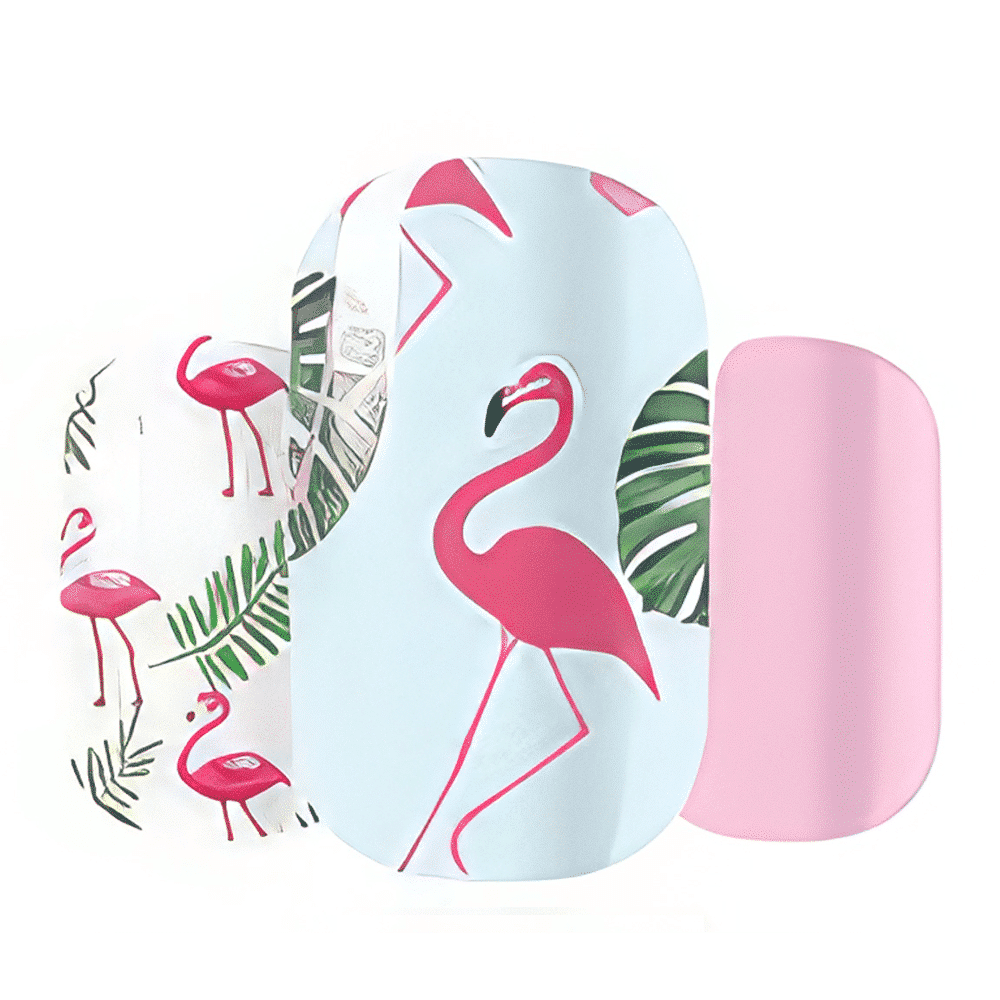 Flamingo Fun - Wide Fit Wrap (22 Piece)