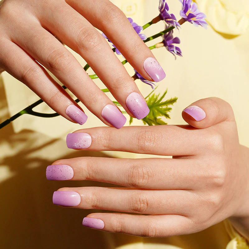 Sweet Sugar - Gels
