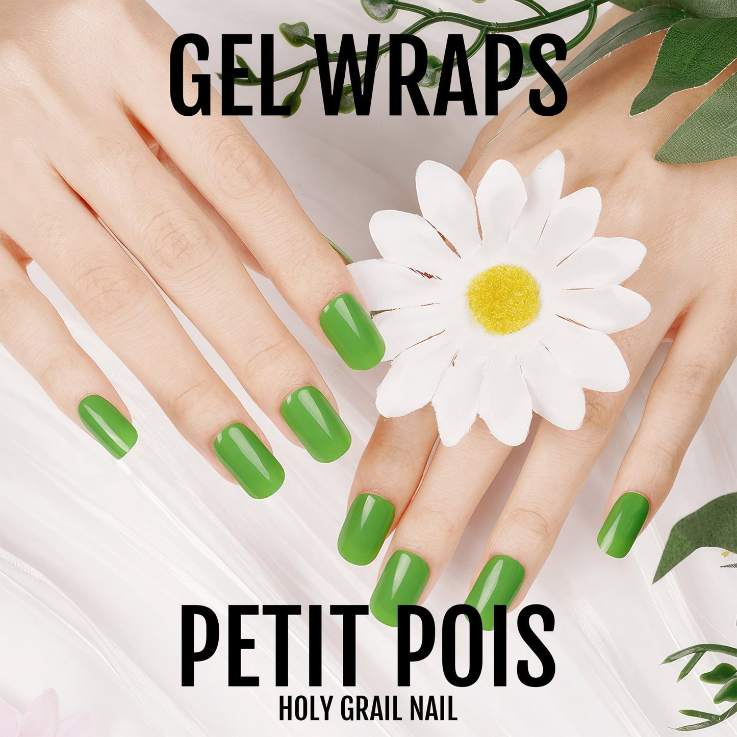 Petit Pois - Gels