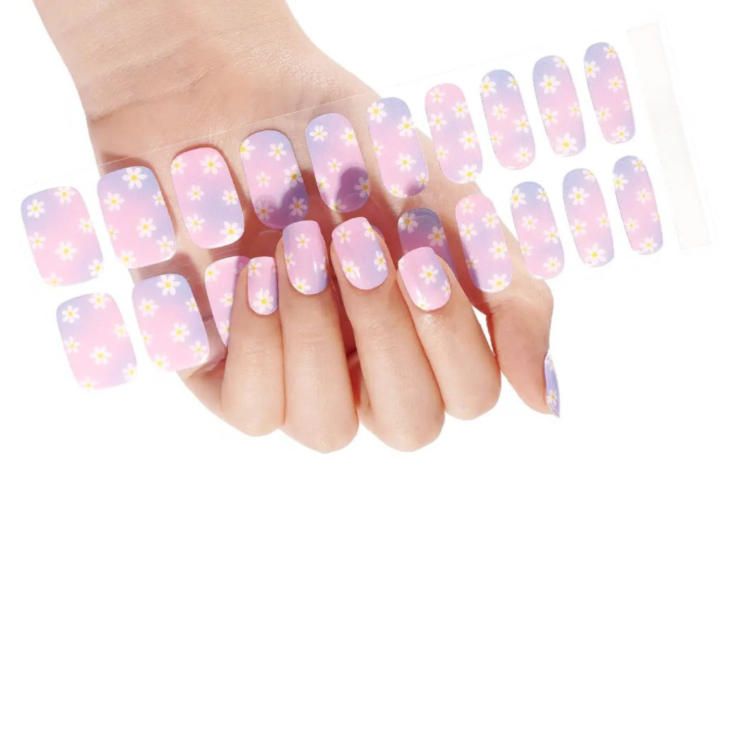 Daisy Dip - Gels