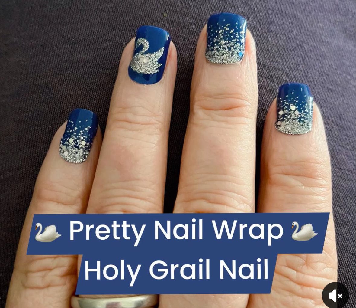 Holy Grail Nail Non-UV Nail Wraps Swan Lake - Holy Classics (Non-UV Nail Wraps)