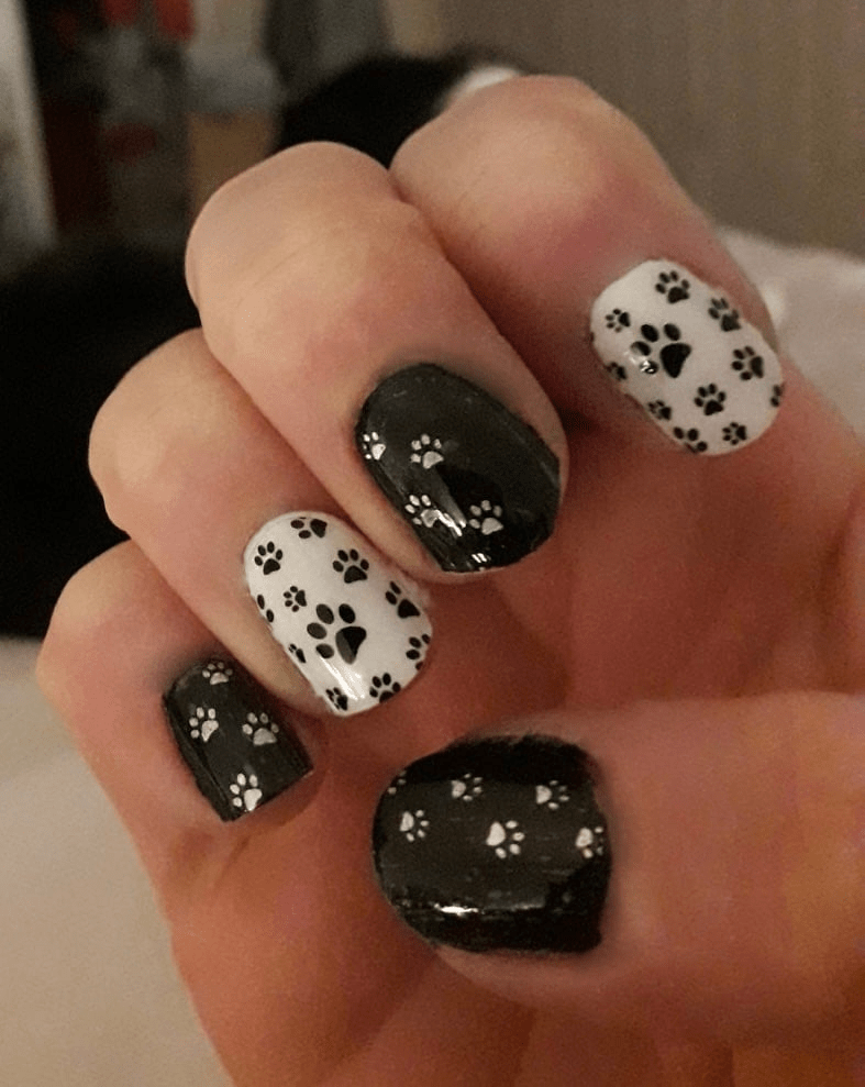 Press Paws (Transparent) - Holy Classics (Non-UV Nail Wraps)