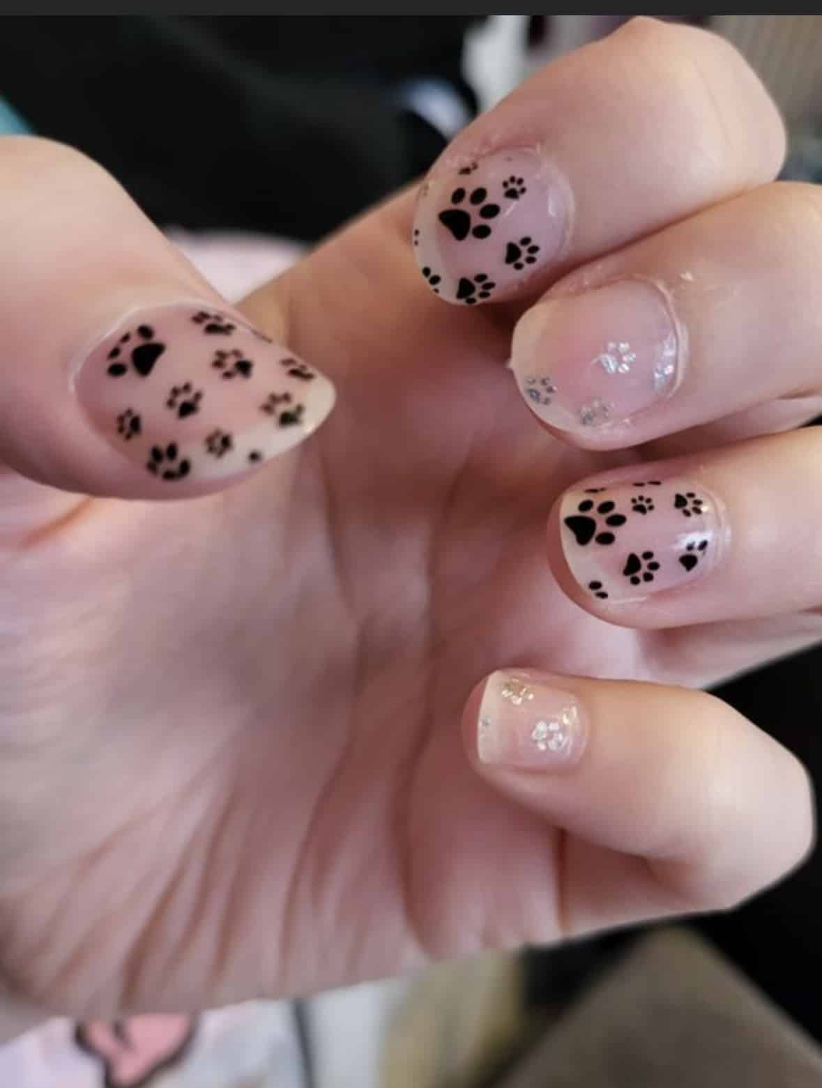 Press Paws (Transparent) - Holy Classics (Non-UV Nail Wraps)