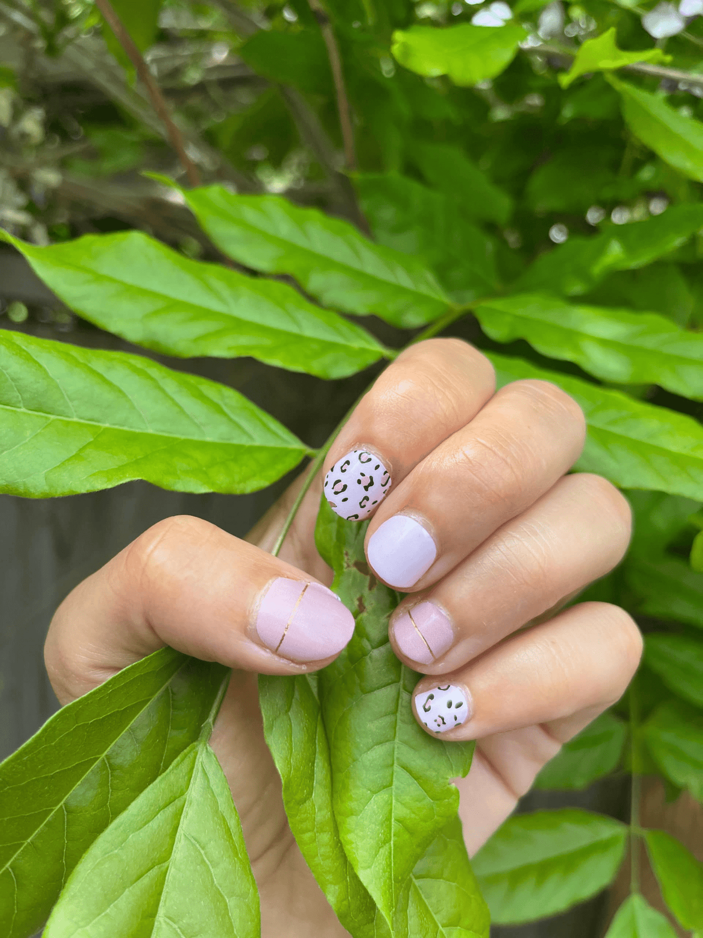 Paw Print Pink - Holy Classics (Non-UV Nail Wraps)